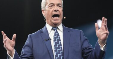 Nigel Farage’s plan to scrap indefinite leave to remain could put thousands at risk of deportation