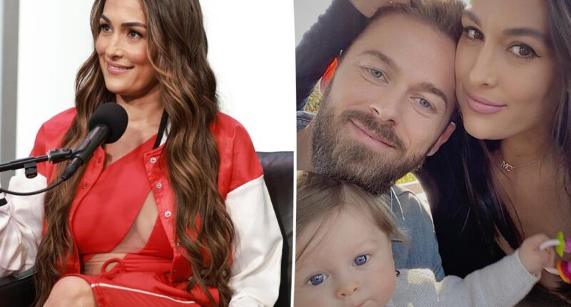 Nikki Garcia shares rare insight on co-parenting relationship with Artem Chigvintsev