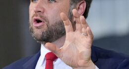 Vice President JD Vance, father of three, weighed in on Donald Trump 's warning for pregnant women to 'fight like hell not to take' Tylenol because of potential links to autism
