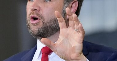 Vice President JD Vance, father of three, weighed in on Donald Trump 's warning for pregnant women to 'fight like hell not to take' Tylenol because of potential links to autism