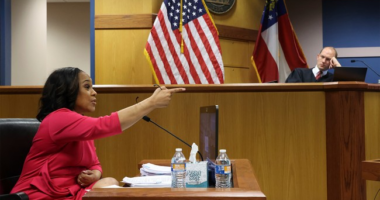 Nuthin' Like a Good Fani Kicking – HotAir