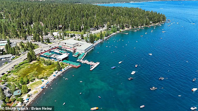 Travelers in the US are being warned about an 'unprecedented' risk for the plague, with rodent numbers exploding across the country