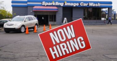 On Labor Day, Trump Cabinet Members Recall Their First Jobs – RedState