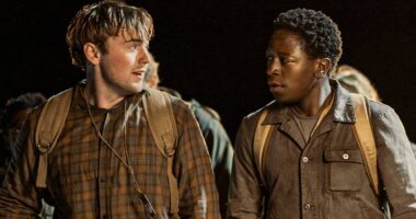 One of the Best-Reviewed Stephen King Movies Ever Is Off to the Races at the Box Office