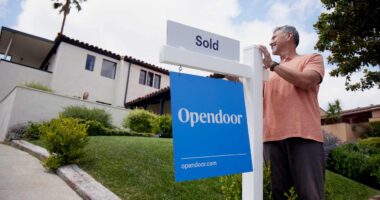 Opendoor’s stock soars after Jane Street’s ‘validation.’ What comes next?