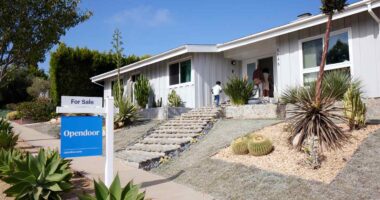 Opendoor’s stock soars again as leadership changes hailed as ‘incredible outcome’ for shareholders