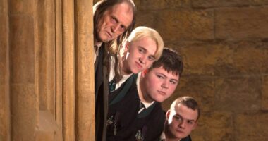 Original Harry Potter Actor Makes Surprise Return for HBO Series