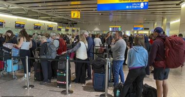 Heathrow is still dealing with the aftermath of yesterday's cyber attack as passengers face a second day of travel hell with flights already delayed and cancelled (Pictured: Terminal 4 today)