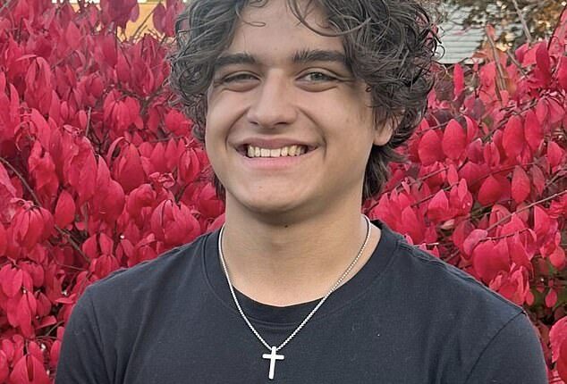 David Nagy, 17, was killed partaking in a TikTok 'surfing' challenge, where participants tied objects or themselves to cars while speeding