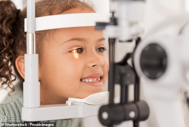 Researchers in China found environmental pollution contributed to myopia, or nearsightedness, in children (stock image)