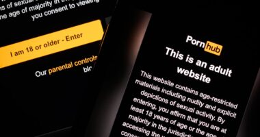 PornHub to pay $5M fine after failing to stop child sex abuse videos being published on websites