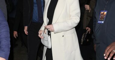 Michelle Dockery was snapped arriving at the Downton Abbey premiere afterparty in London after revealing she was expecting her first child on Wednesday