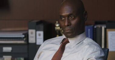 Prime Video's Bosch Is Easily The Best Crime Series On Streaming