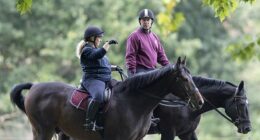 The disgraced royal, 65, (pictured) took a ride with a groom alongside Windsor River this weekend. Prince Andrew appeared unmoved by the ongoing preparations for President Trump's visit on Wednesday