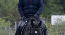 Prince Andrew (pictured) appeared to be grinning when he was photographed while horse riding in Windsor Great Park on Saturday