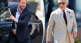 Prince Harry eager to show King Charles pics of his kids at reunion