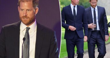 Prince Harry jokes about 'challenging' siblings amid strained relationship with Prince William