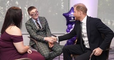 Prince Harry spoke about the 'challenging' relationship between siblings when chatting with WellChild awards winner Declan Bitmead (centre) at London's Royal Lancaster Hotel last night