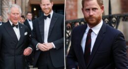 Prince Harry slams those 'sabotaging any reconciliation' efforts between him and King Charles