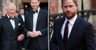 Prince Harry slams those 'sabotaging any reconciliation' efforts between him and King Charles