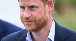 Prince Harry is understood to be 'taken by surprise' by how 'formal' his reunion meeting with his father King Charles was