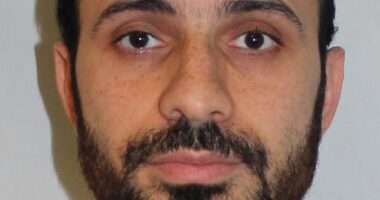 Abdelrahmen Adnan Abouelela, 42, was jailed for raping a woman in Hyde Park in November