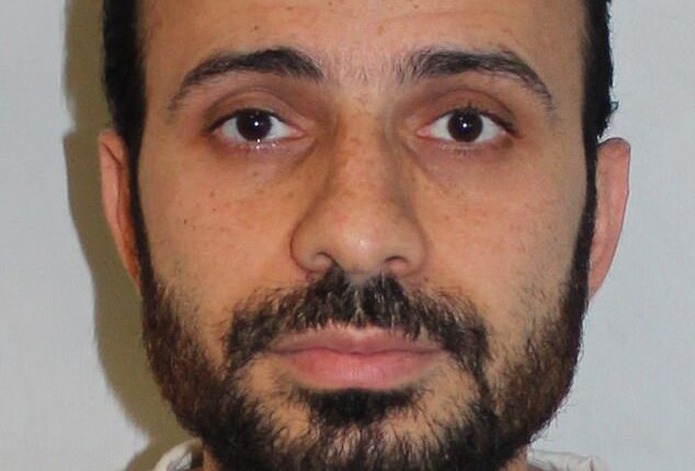 Abdelrahmen Adnan Abouelela, 42, was jailed for raping a woman in Hyde Park in November