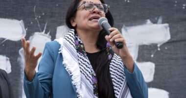 Rashida Tlaib Goes on Foul-Mouthed Rant at Pro-Hamas Event Where Speakers Called America ‘Evil’ – RedState