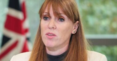 Rayner lawyers ‘made scapegoats’ and ‘did not give her tax advice’ on flat at centre of row: UK politics live