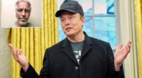 Elon Musk has denied any involvement with disgraced pedophile Jeffrey Epstein after his name came up in reports associated with newly released documents. Partial records associated with Epstein were released on Friday by Democrats on the Committee on Oversight and Government Reform, which included a mention of Musk, seemingly scheduled to visit the island on December 6, 2014.
