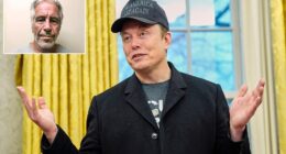 Elon Musk has denied any involvement with disgraced pedophile Jeffrey Epstein after his name came up in reports associated with newly released documents. Partial records associated with Epstein were released on Friday by Democrats on the Committee on Oversight and Government Reform, which included a mention of Musk, seemingly scheduled to visit the island on December 6, 2014.