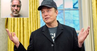 Elon Musk has denied any involvement with disgraced pedophile Jeffrey Epstein after his name came up in reports associated with newly released documents. Partial records associated with Epstein were released on Friday by Democrats on the Committee on Oversight and Government Reform, which included a mention of Musk, seemingly scheduled to visit the island on December 6, 2014.