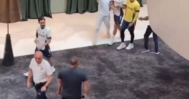 An overzealous fan attempted to take a selfie with Cristiano Ronaldo at Portugal's team hotel