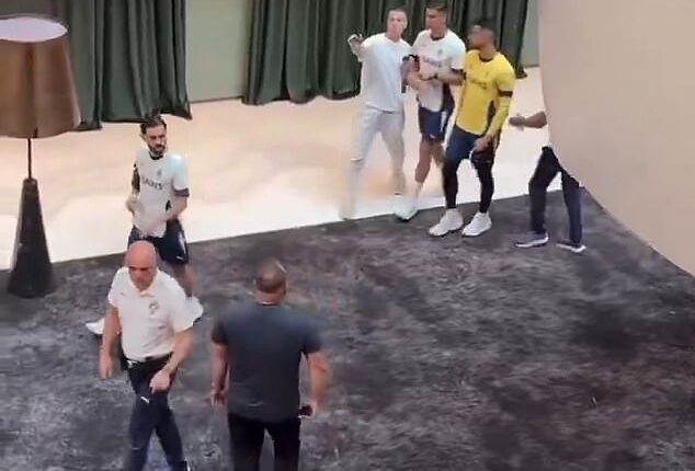 An overzealous fan attempted to take a selfie with Cristiano Ronaldo at Portugal's team hotel