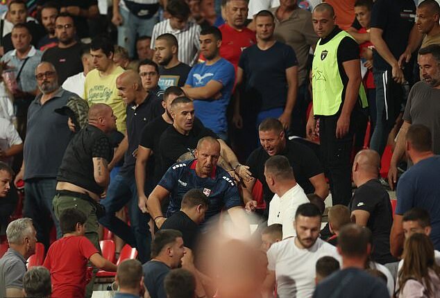 Riot police had to enter the stands after during England's clash with Serbia due to home fans fighting each other