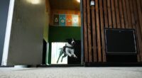 Rome's airport opens luxurious dog hotel with pampering services