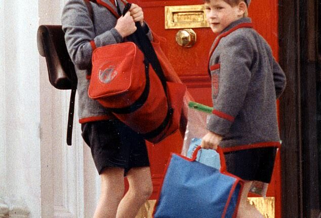 A former royal chef has revealed the secret ingredient he put into Prince William and Prince Harry's chocolate brownies when they were children (pictured in 1990)