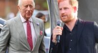 Royal family 'saddened' by Prince Harry’s claim that courtiers are 'sabotaging' his relationship with King Charles: report