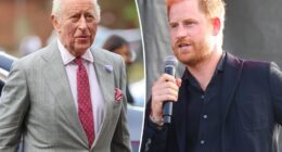 Royal family 'saddened' by Prince Harry’s claim that courtiers are 'sabotaging' his relationship with King Charles: report