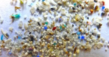 Microplastics Cancer