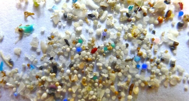 Microplastics Cancer