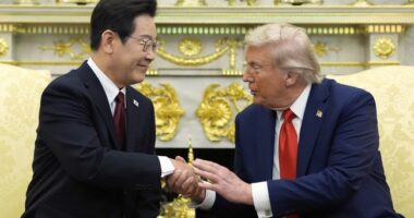 Seoul Doubles Down After Summit, Vowing to Target 'Far-Right' Critics at Home and Abroad – RedState