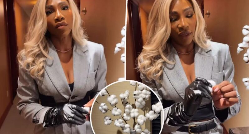 Serena Williams calls out NYC hotel's cotton plant decoration