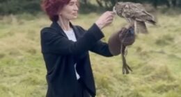 Sharon Osbourne was seen for the first time since her husband Ozzy's funeral on Thursday as her daughter Kelly discussed their new shared passion for falconry