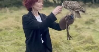 Sharon Osbourne was seen for the first time since her husband Ozzy's funeral on Thursday as her daughter Kelly discussed their new shared passion for falconry