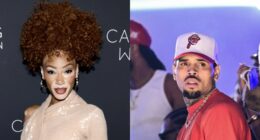 Winnie Harlow Sparks Mixed Reactions With Joke About Her & Chris Brown Being Michael Jacksons Kids (PHOTO)