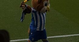 Sheffield Wednesday's mascot Barney the Owl joined fan protests against their club's owner