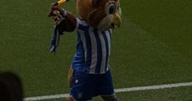 Sheffield Wednesday's mascot Barney the Owl joined fan protests against their club's owner