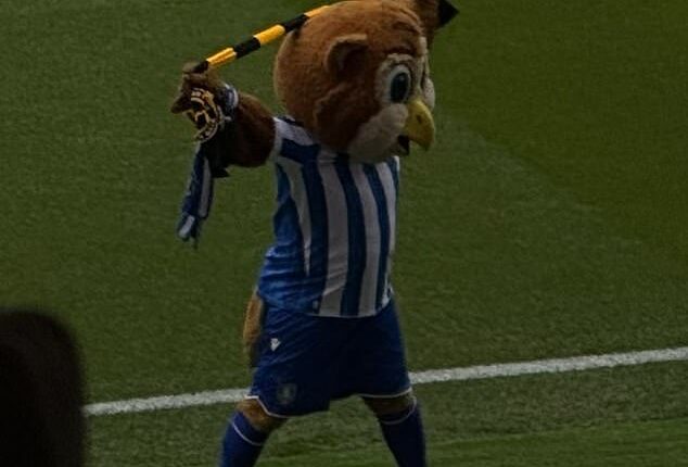 Sheffield Wednesday's mascot Barney the Owl joined fan protests against their club's owner