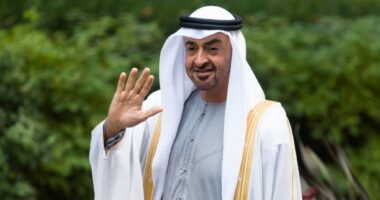 Sheikh Mohamed bin Zayed Al Nahyan Net Worth